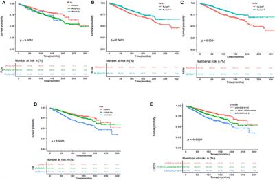 Prognostic Performance of Different Lymph Node Staging Systems in Patients With Small Bowel Neuroendocrine Tumors